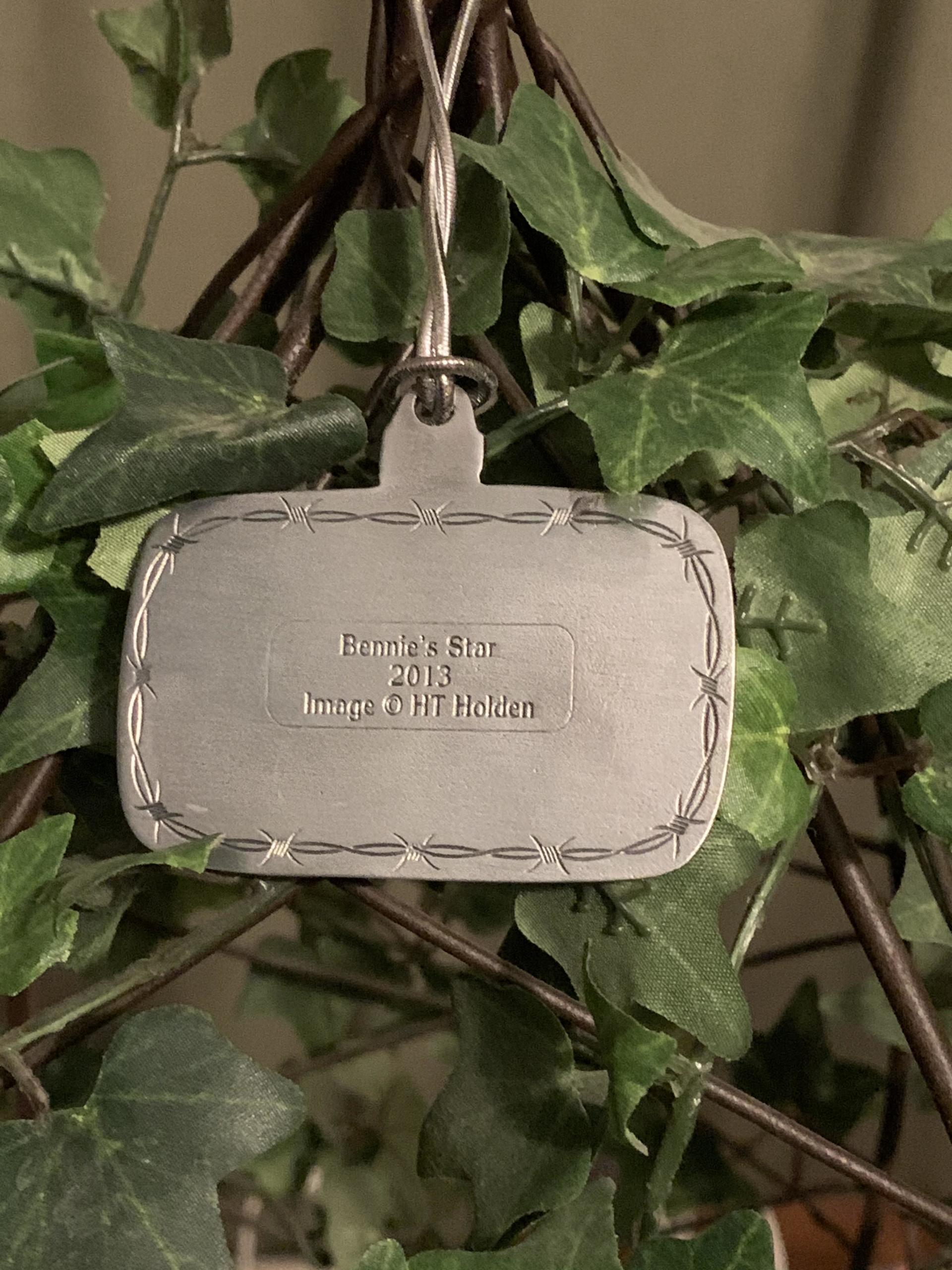 2013_back