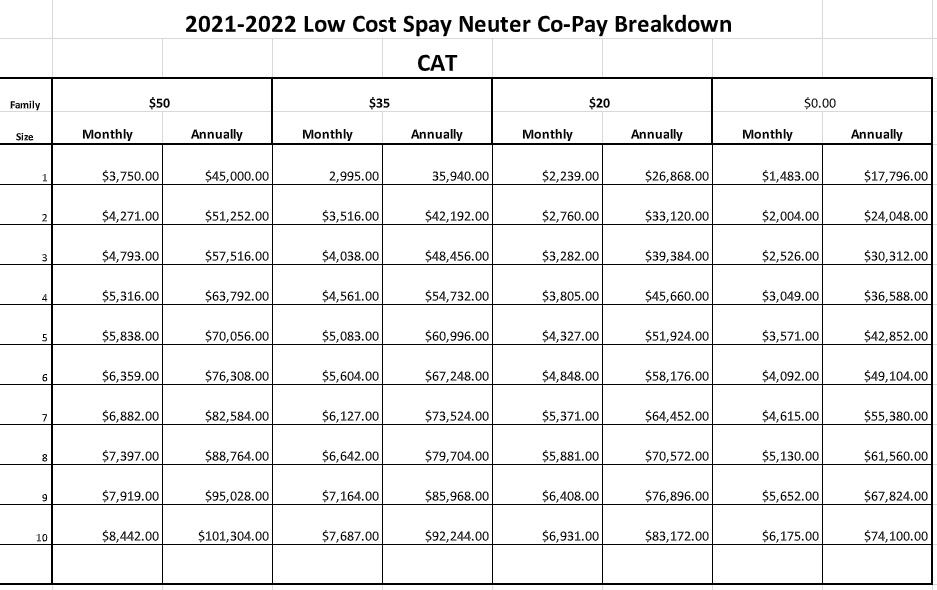 Cat Low Cost S&N