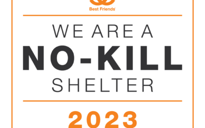 2023 No-Kill Award