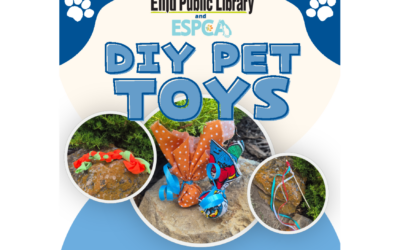 Saturday, August 8th – DIY Toy Event – Library