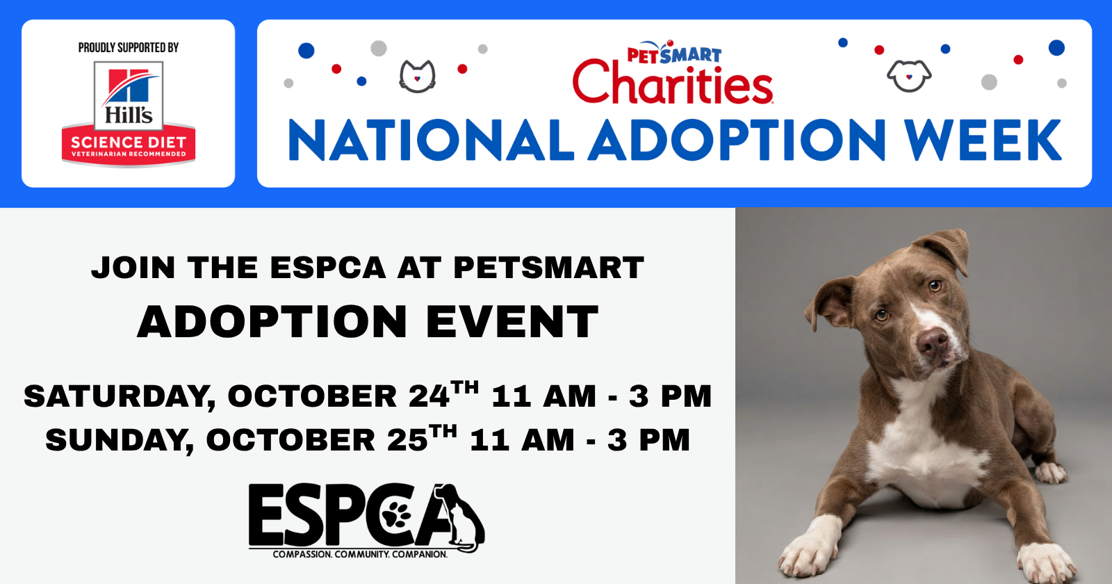 Adoption Weekend